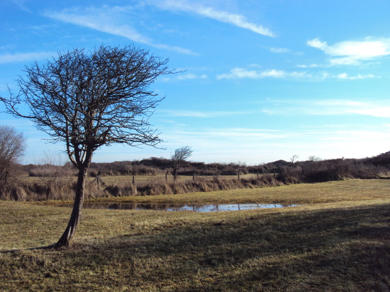 la panne435.jpg